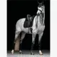 LeMieux Crystal Suede Close Contact dressuuronderlegger
